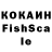 Cannafood конопля gilad Shaked