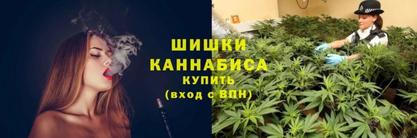 гашик Нягань