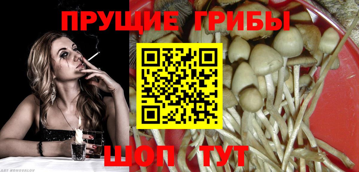 Галлюциногенные грибы мухоморы  Алапаевск 