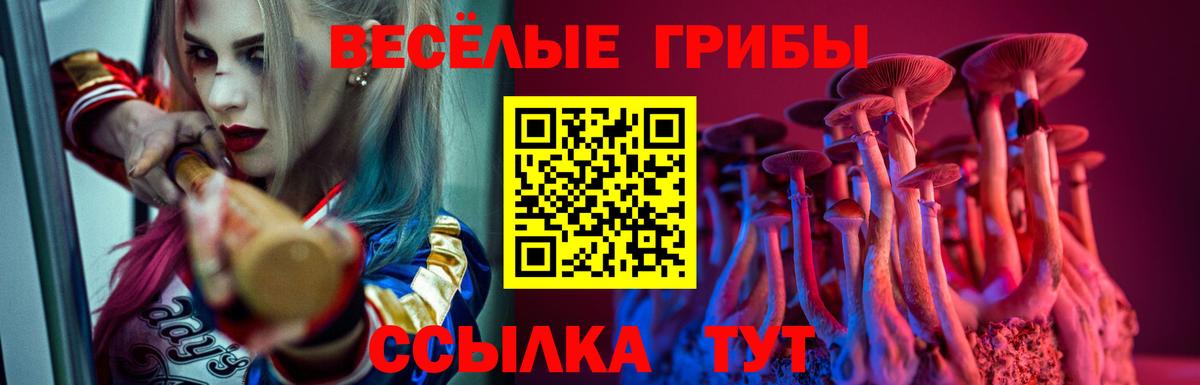 Псилоцибиновые грибы мицелий  Вход с VPN  Алапаевск 